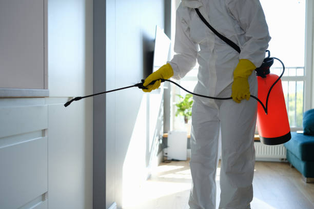Best Localized Mold Remediation (e.g., coastal areas, humid climates) in Racine, WI