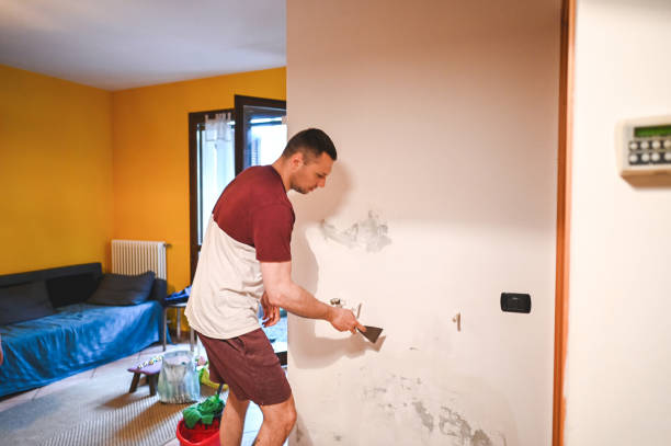 Best Crawl Space Mold Remediation in Racine, WI