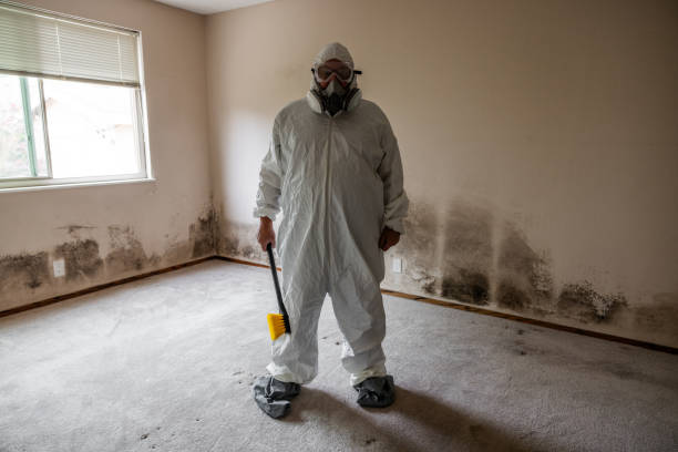 Best Bathroom Mold Remediation in Racine, WI
